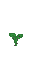 Wood Plant 1