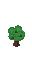 Wood Plant 2