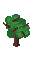 Wood Plant 3